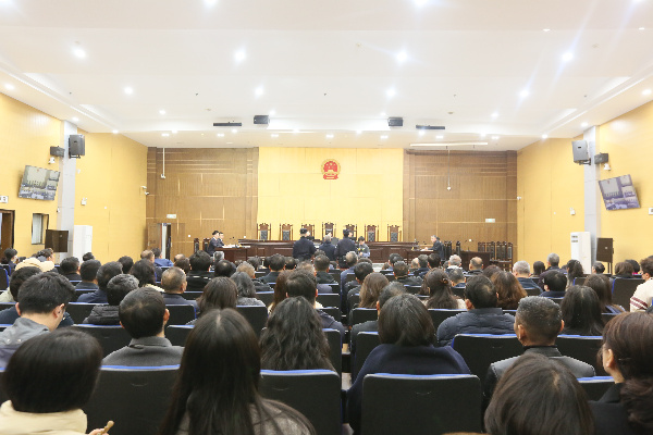 让青年干警在庭审观摩中“拔节生长”